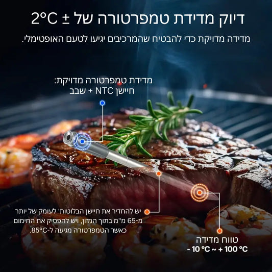 המדריך המלא לסטייק מושלם: הסוד למידת עשייה מדויקת